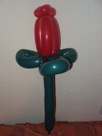 Flor Rosa / Tulipán